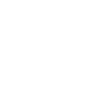 Design / Illustration / Hamburg